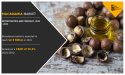  Macadamia Market Navigating Business with CAGR of 10.3% with Revenue of $2.9 Billion by 2031 