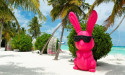  Kandima Maldives Unveils Easter Programme 2024 