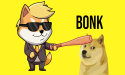  Why is BONK memecoin’s price soaring? 