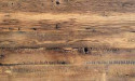 Building a Greener Future: Navigating the Complexities of Wood Use in Construction While Prioritizing Sustainability