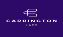  Beforepay Group launches Carrington Labs business line to commercialise its AI-powered risk models and lending platform 