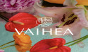 Unveiling the Beauty of Polynesian Botanicals in a Timeless Skincare Regimen