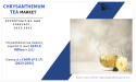 Chrysanthemum Tea Market Global Opportunities, Size, Share, Trends, Growth and Forecast to 2032