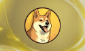  Dogecoin20 meme coin launches ICO and raises $200K within Hours 
