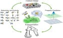  Revolutionizing Carbon Neutrality: Machine Learning Paves the Way for Advanced CO2 Reduction Catalysts 