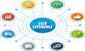 User Experience (UX) Service Market New Product Development & Latest Trends | Bitovi, Thence, Praxent