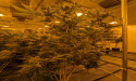 Newly introduced bill could launch Kansas’ first pilot medical cannabis program