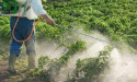  Insecticides Market New Horizons in Market Size Exploring Future Growth Potential 