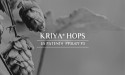  Dr. Bomi Joseph Successfully Concludes Lawsuit Against Potnetwork Holdings Regarding Kriya® Hops derived CBD 