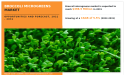 Broccoli Microgreens Market to Grow $398.5 Million by 2031