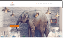 ELKALYNE Launches New Website