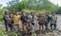 'Plant One Tree' In 'One Click' To Celebrate World Planting Day As International Animal Rescue Shares Successful Mangrove Planting Results