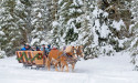 Whitefish Dude Ranch KAGEs Massive Snowfall