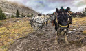 Summer Travel: Wild West Road Trip