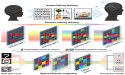 Photonic neuromorphic architecture for tens-of-task lifelong learning