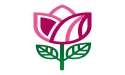 Send Flower Gifts Local Florist Now Offering Same Day Delivery to Various Locations in Austin, Texas