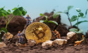 BTC is a “religious revival” and a toy? Fed president dumps on Bitcoin, BTC-USD and “garbage coins”