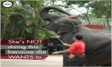 World Animal Protection Welcomes Corporates Embracing Wildlife Friendly Tourism in the Wake of Landmark Legal Directive on Gir Tourism