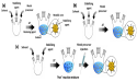Alfa Chemistry Provides an Abundance of Colloidal Nanoparticles for Research
