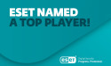  ESET has been recognized as a Top Player in Radicati Market Quadrant for the fifth consecutive year 