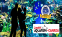 Ripley’s Aquarium of Canada Receives Autism Recertification, Demonstrates Ongoing Commitment to Enhancing Accessibility