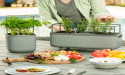  Vego Garden's Planter Series Clinches Red Dot Award for Exemplary Design in Gardening Innovation 