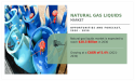  Natural Gas Liquids Market to Rear Excessive Growth During 2030 - Shell Plc, Lukoil, BP P.L.C, Exxon Mobil Corp, etc. 