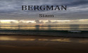  New Music Alert Siam From Swedish Indie Artist Bergman 