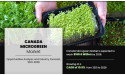  [Pages: 138] $168.6+ million Canada Microgreens Market | registering a CAGR of 10.9 