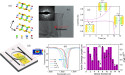  Electro-Optic Tuning in Composite Silicon Photonics Based on Ferroionic 2D Materials 