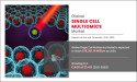  Single Cell Multiomics Market Set to Surge to $15.26 Billion by 2030, Finds Allied Market Research 