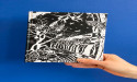 Samen sterk voor de Amazone: Paper on the Rocks en Treesistance in duurzame alliantie