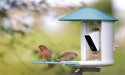  Birdfy Enhances Backyard Birdwatching With Innovative Smart Feeder Accessories 