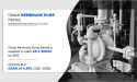 Membrane Pump Market to Witness Exponential Growth by 2030 - SEKO S.P.A, INGERSOLL RAND, XYLEM, EMEC SRL, etc.