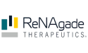  ReNAgade Therapeutics Continues Commitment to GanNA Bio and Glycan Biology 