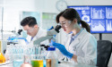ONO to buy Deciphera Pharmaceuticals at a huge premium