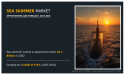  Sea Skimmer Missile Market Shows Outstanding Growth at a CAGR of 6.9% by 2032 
