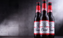 AB InBev stock price surges today on financial results release a underlying profits rise