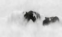  Neoque Magazine Features Equine Photographer Maria Marriott’s New Work Documenting the American Wild Horses 
