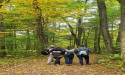 Pennsylvania Parks and Forests Foundation Celebrates ‘I Love My State Parks Week’