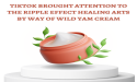 TikTok Brought attention to The Ripple Effect Healing Arts by way of Wild Yam Cream