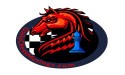  DailyChessMusings Hosts Another Free Summer Chess Camp for Youth 
