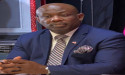  U.S REPRESENTATIVES ANNOUNCED THE RESOLUTION OF A $50 BILLION DOLLAR INVESTMENT PLAN FOR HAITI 