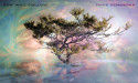 Sun Will Follow Released, Artist Dave Schoepke