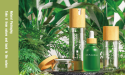 Gidea PAC Roll Out New Products on the Sustainability of Bamboo