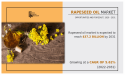 Rapeseed Oil Market Eyeing Bigger Moves | $37,199.4 Mn by 2031 With CAGR of 5.6%