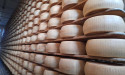 Emilia Delizia Announces New Food Tour Departing from Stazione Medio Padana