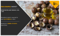 Macadamia Market Growing with CAGR of 10.3% Targeting to Achieve $2.9 billion by 2031