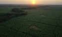 Banacol mantiene la sua promessa ambientale e conserva la certificazione Carbon Neutral