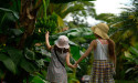 Ecotourism Market to Increase At a CAGR of 11.7% to Reach a Valuation of $829.8 Billion by 2035